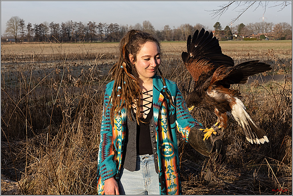 Cheyenne-Halbblut Hunting Wolf in der Falknerei Pierre Schmidt; Gymnich, 09.02.2023